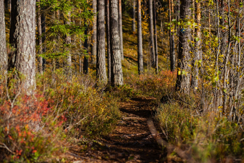 retkeilymaisema Lopen Iso-Melkuttimella