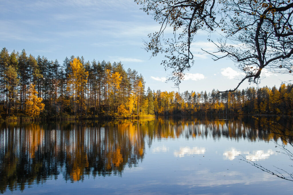 Järvimaisema Melkuttimella