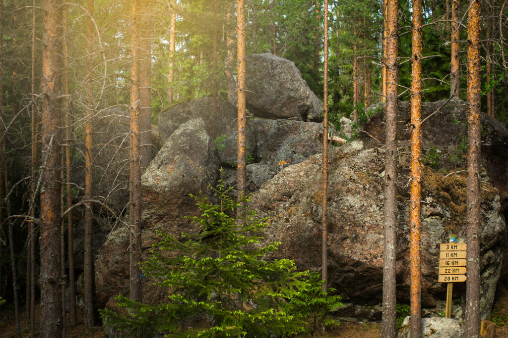 Aurinko paistaa kallioon, jonka edessä on poronpolku kyltit