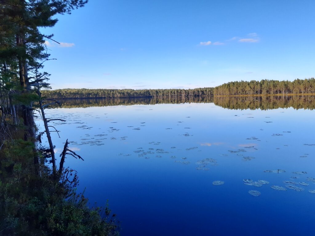 järvimaisema