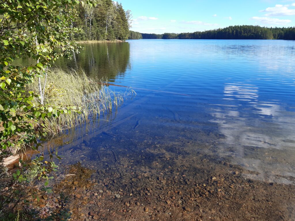 rantamaisema isomelkuttimella