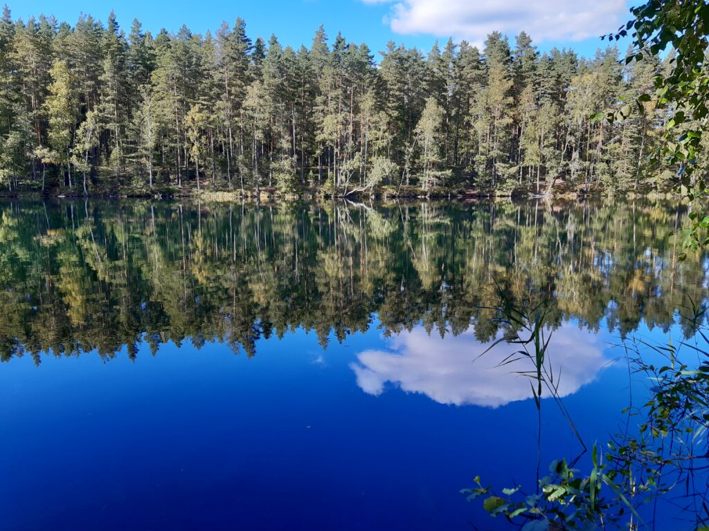 metsä heijastuu järvenpinnasta