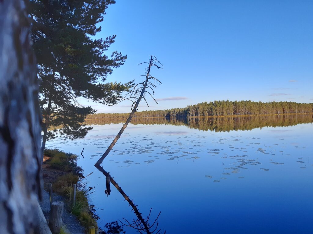 järvimaisema