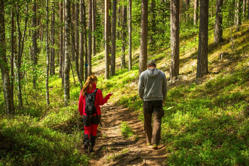 kaksi retkeilijää kävelemässä poispäin metsässä