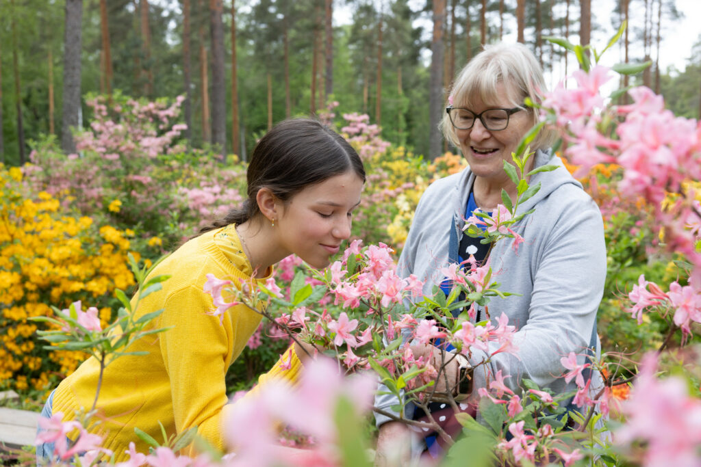 Tummahiuksinen tyttö keltaisessa paidassa nuuhkii atsaleakukkia hymyillen silmät kiinni. Vieressä seisoo iäkkäämpi nainen, joka katsoo tyttöä iloisesti. Ympärillä on keltaisia ja vaaleanpunaisia kukkia ja puita.
