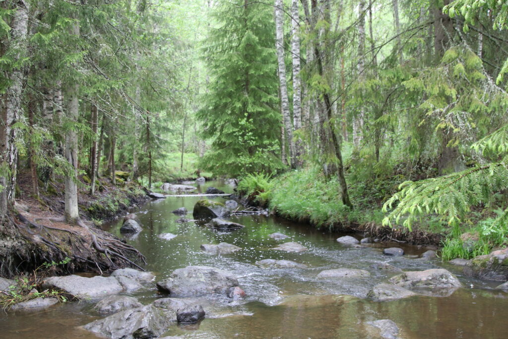 Kivinen vesikoski metsän keskellä