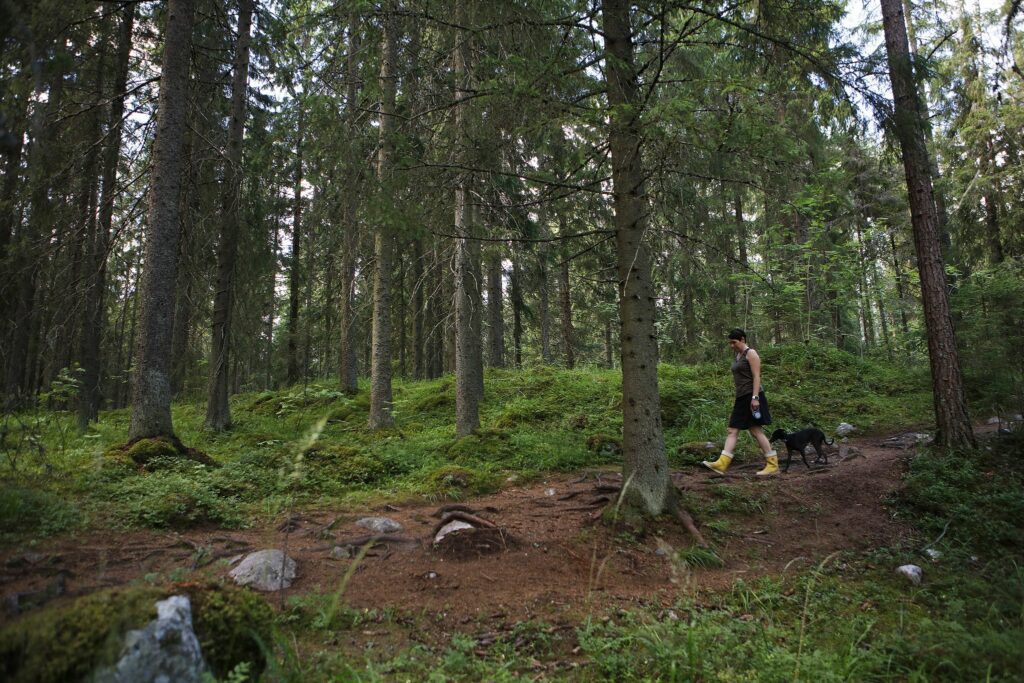 Henkilö kävelee koiran kanssa luontopolulla. Polulla on kiviä ja juurakkoa, ympärillä puita ja vehreää luontoa.