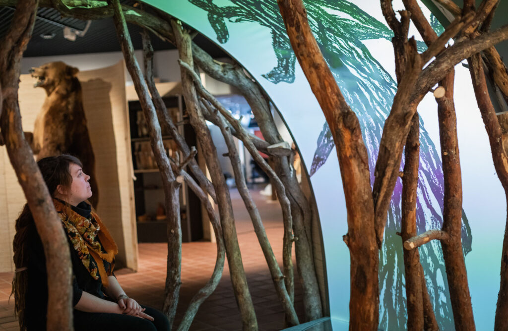 Ihminen istuu metsästysmuseon näyttelyssä.