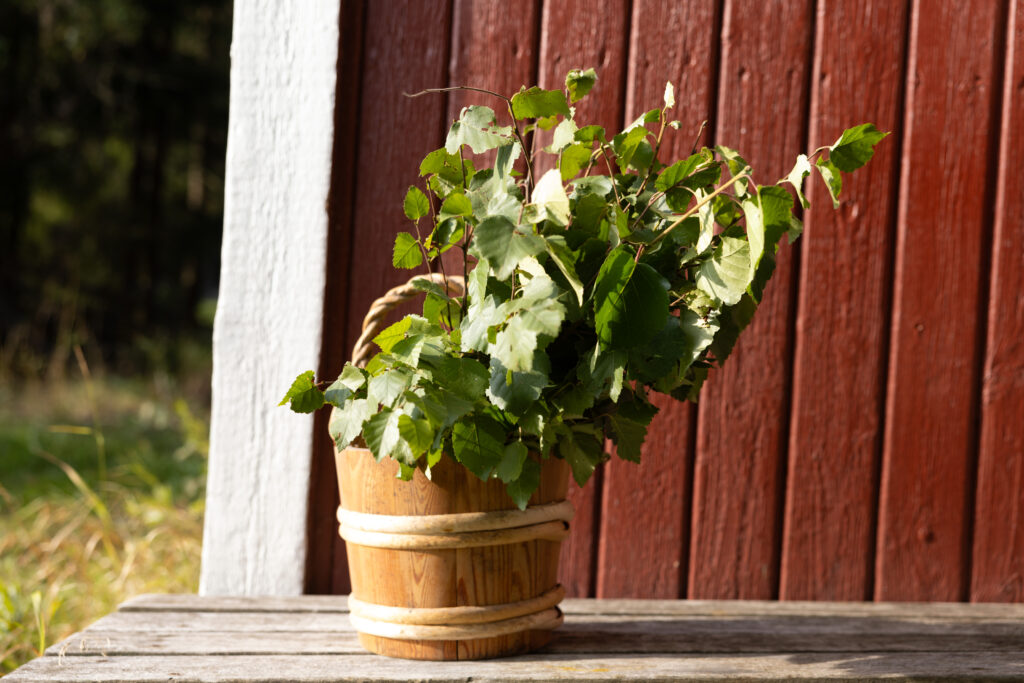 Saunavihta löylysangossa.