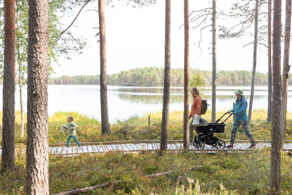 Perhe kävelee leveitä pitkospuita pitkin luonnossa. Toinen kuvan aikuisista työntää lastenrattaita.
