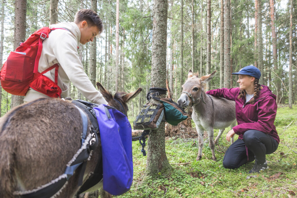 Kuvassa on kaksi ihmistä ja kaksi aasia metsässä. Ihmiset rapsuttavat aaseja.